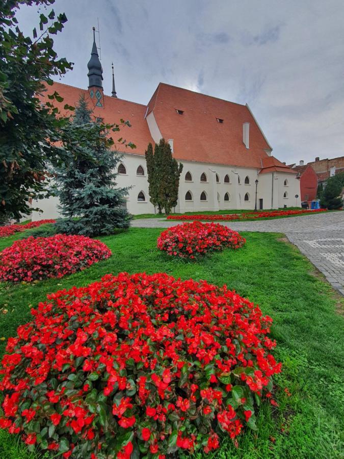 Via Transilvanica Sighisoara Hotell Exteriör bild